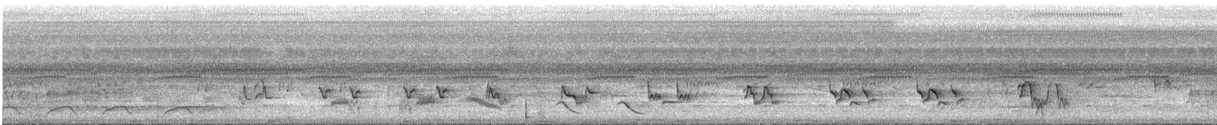 Дрізд чорнодзьобий - ML646027883