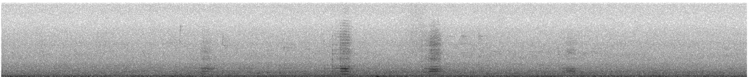 ワタリガラス - ML646028105