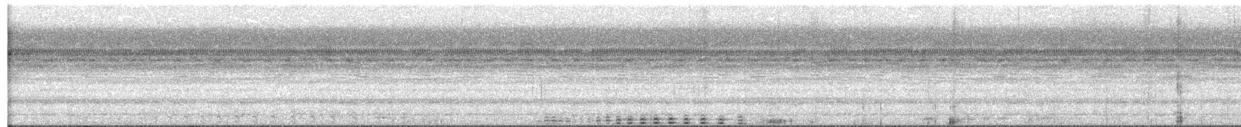 výreček pacifický - ML646028144