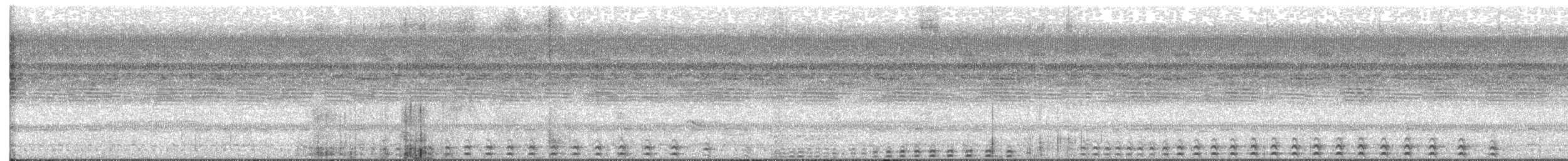 výreček pacifický - ML646028393