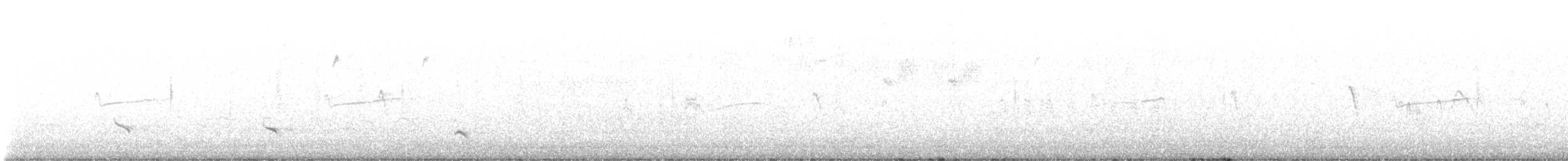 Balbuzard pêcheur - ML646028638