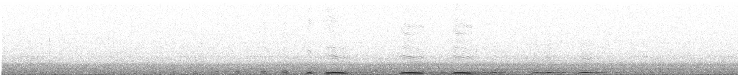 výr virginský - ML646028737