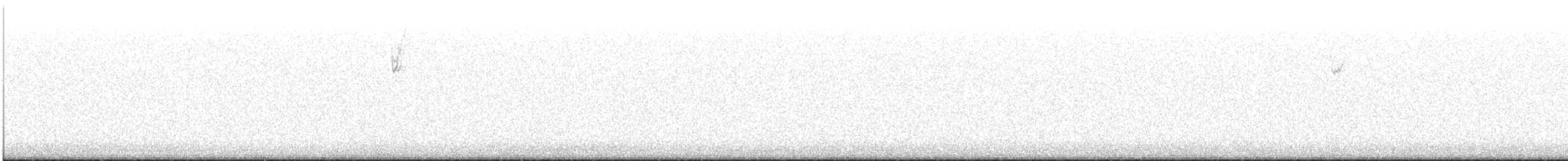 Карнатка білоброва - ML646029050