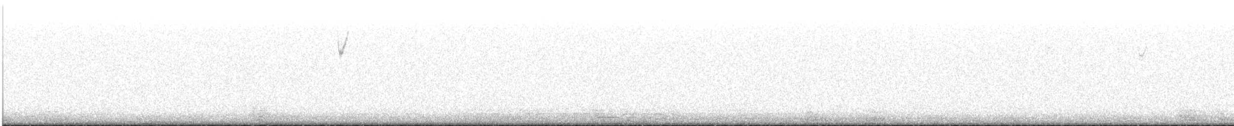 Карнатка білоброва - ML646029051