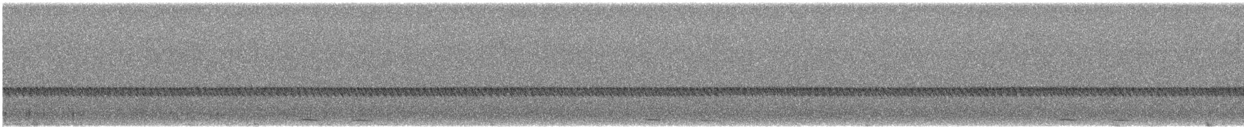 Boobookkauz [boobook-Gruppe] - ML646029122