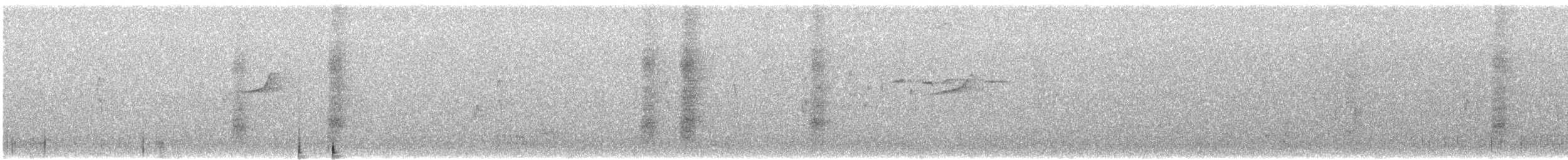 Gelbbauch-Dickkopf (Ramsaydickkopf) - ML646029133