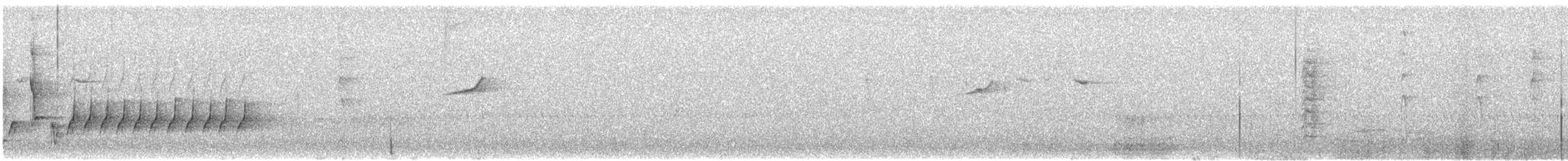 Gelbbauch-Dickkopf (Ramsaydickkopf) - ML646029136