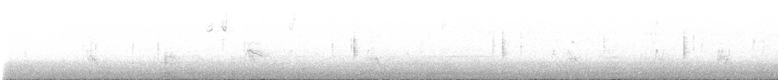 Muskatbronzemännchen - ML646029147