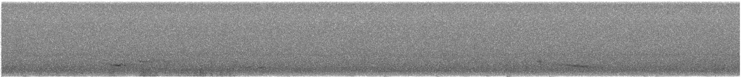 Flötenkrähenstar (dorsalis) - ML646029188