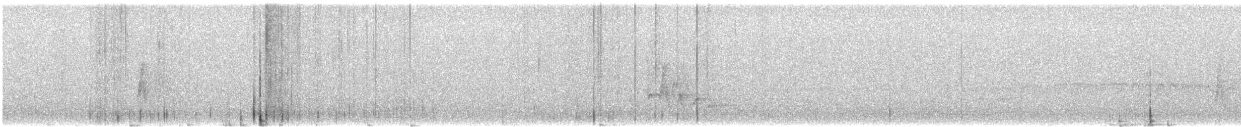 Weißbrustschnäpper - ML646029232