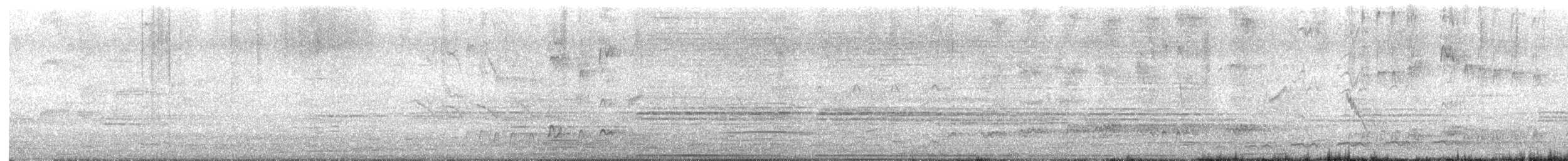 Bengalensegler - ML646029259