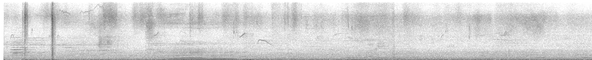 Blauschwanzspint - ML646029329