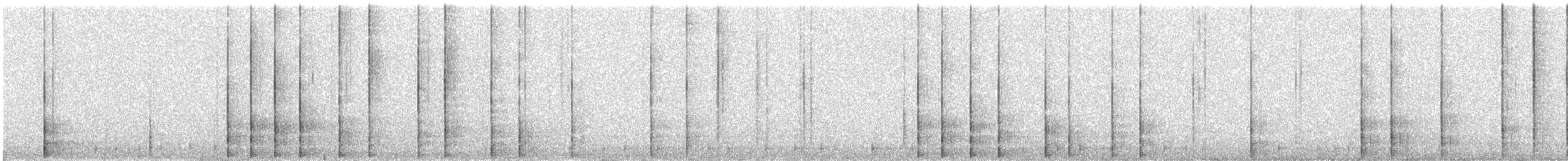 Black-backed Woodpecker - ML646029387