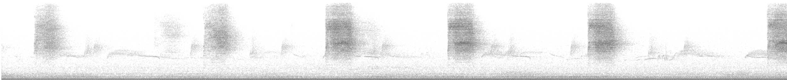 Sägekauz - ML646029459