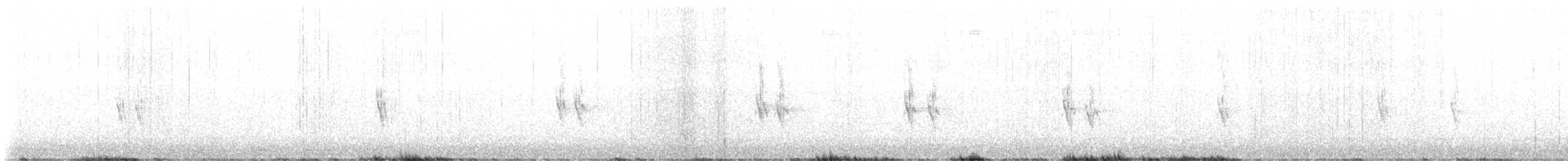 gråsisik - ML646029824