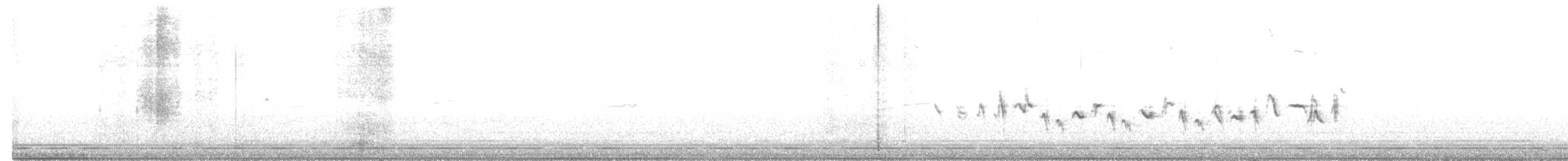 House Finch - ML646029956