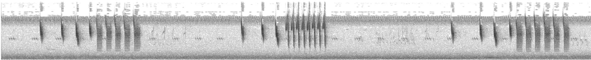 Sedge Wren - ML646030076