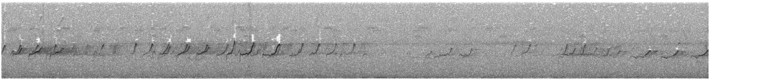 Solitary Sandpiper - ML646030178