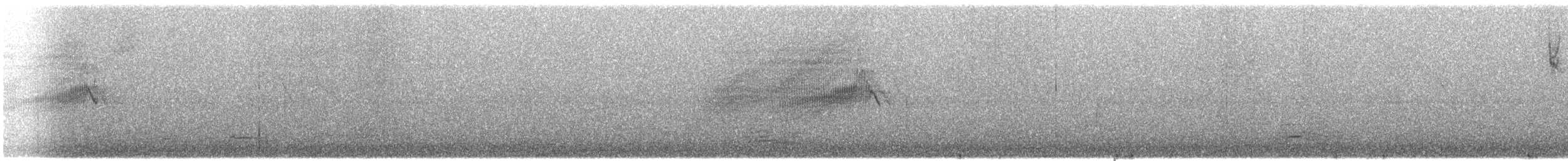 Pine Siskin - ML646030189