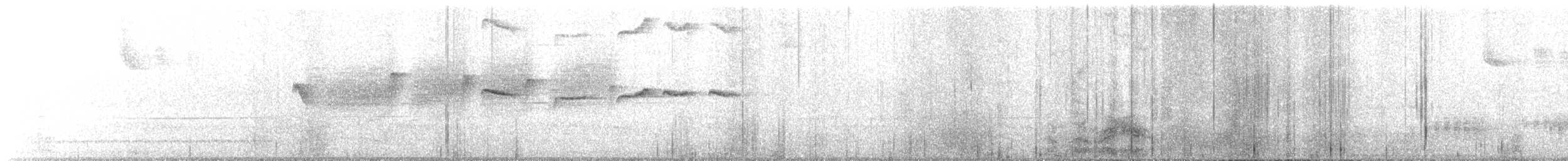 Rufous-tailed Antbird - ML646030337