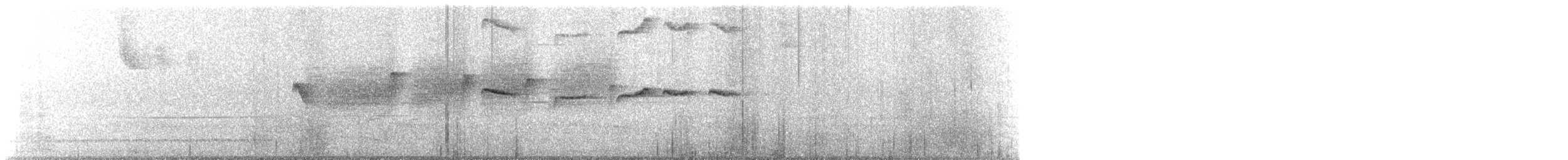 Rufous-tailed Antbird - ML646030339