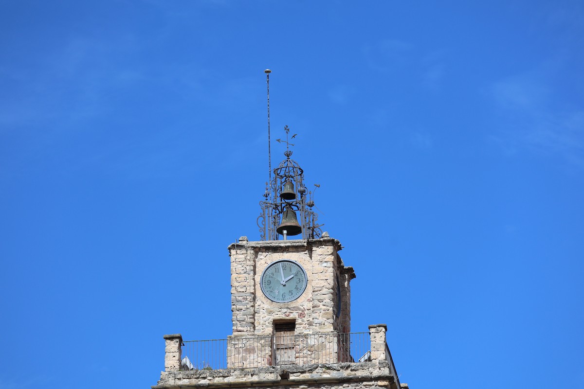 Eurasian Crag-Martin - ML646030349