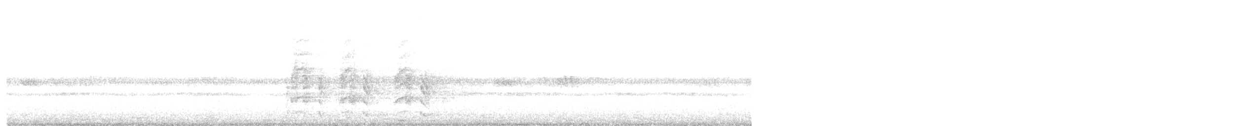 Spotted Owlet - ML646030405