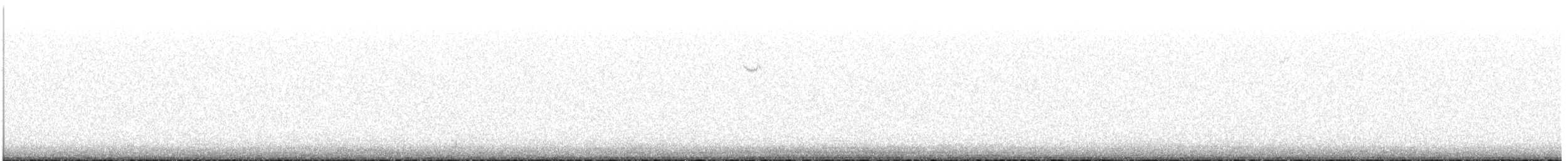 Chingolo Gorjiblanco - ML646030532