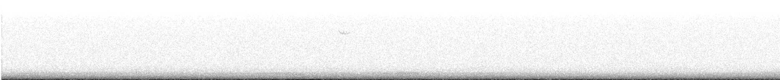 Chingolo Gorjiblanco - ML646030534