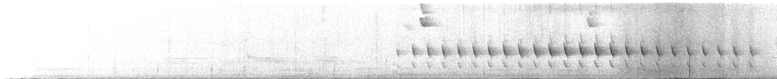 Тапакуло аргентинський - ML646030715