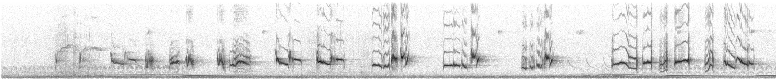 Crissal Thrasher - ML646030760