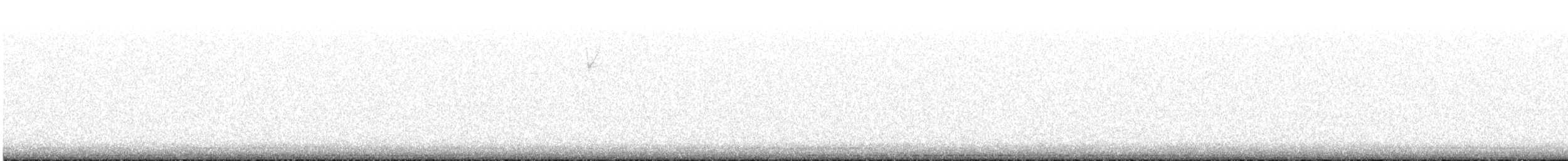 Chipping Sparrow - ML646030870