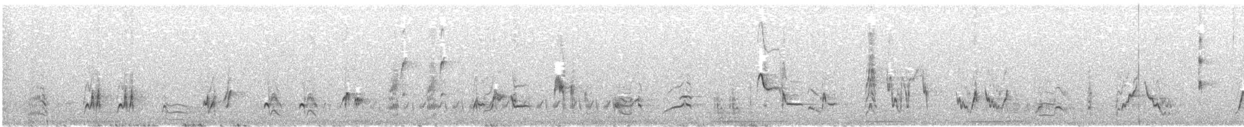 Curve-billed Thrasher - ML646031071