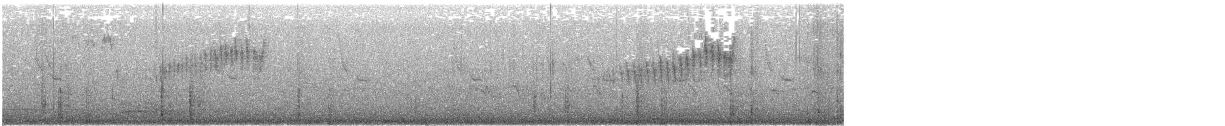Northern Parula - ML646031111