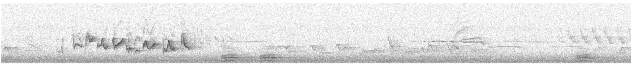 Western Warbling Vireo - ML646031215