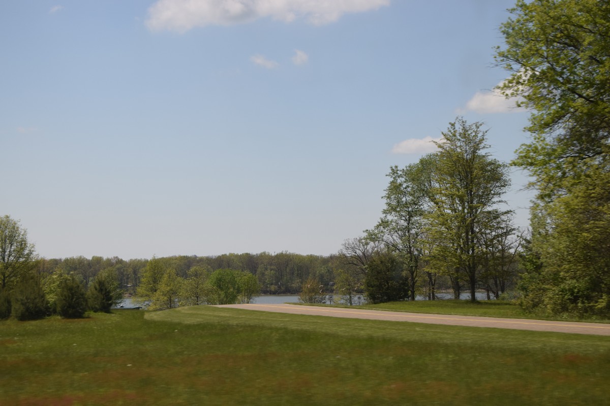 ברנטה קנדית - ML646031232