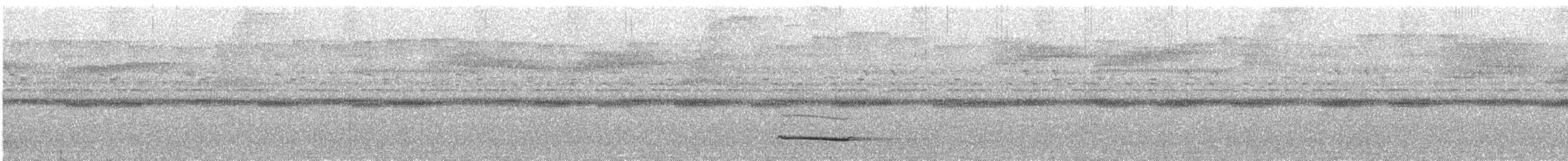 Sangihe Scops-Owl - ML646031338