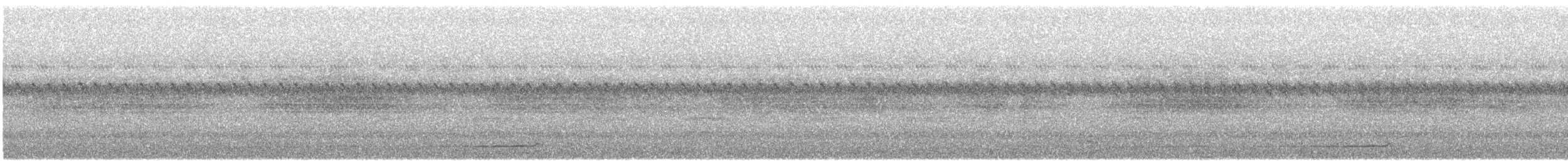 Sulawesi Pitta (Sangihe) - ML646031462