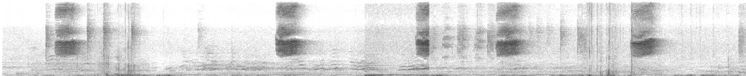 Blue Whistling-Thrush - ML646031474