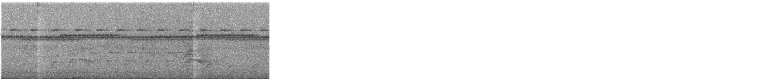 Common Black Hawk - ML646031506