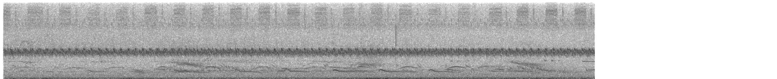 オーストラリアマルハシ - ML646032220