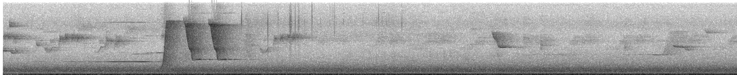 Zordala Crestada Oriental - ML646032409