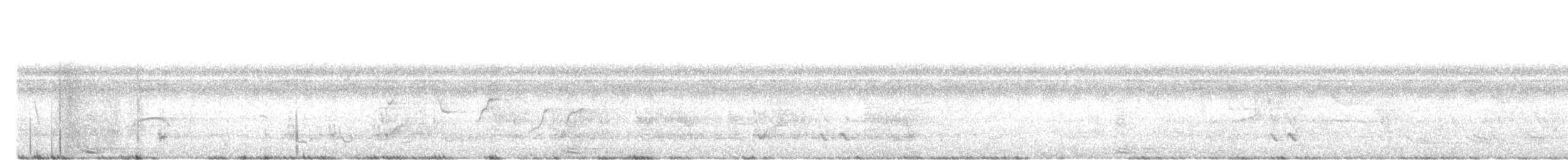 dvojzoborožec velký - ML646033276