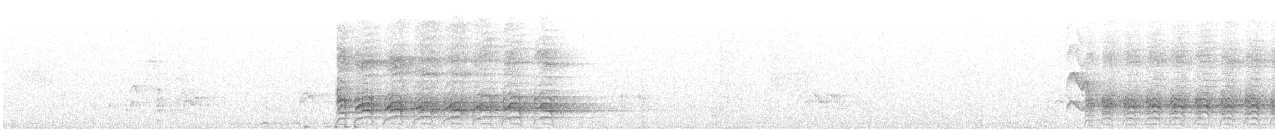 straka toulavá - ML646033282