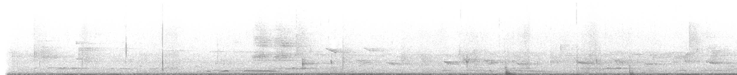 Perlhalstaube - ML646033317