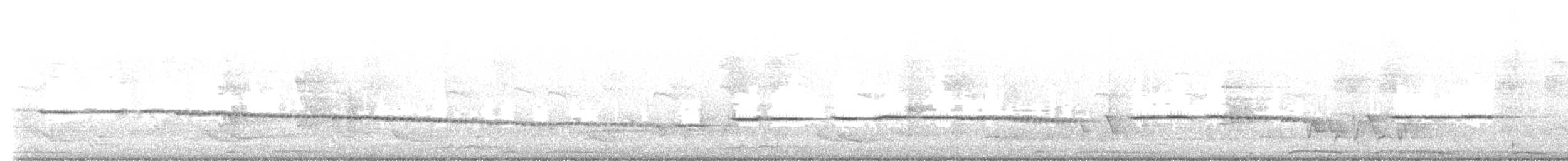 Plain Gerygone - ML646033420