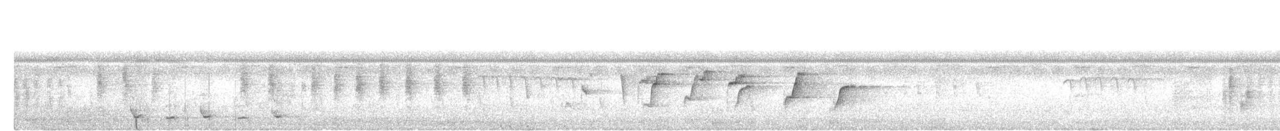 Malaysian Pied-Fantail - ML646033509