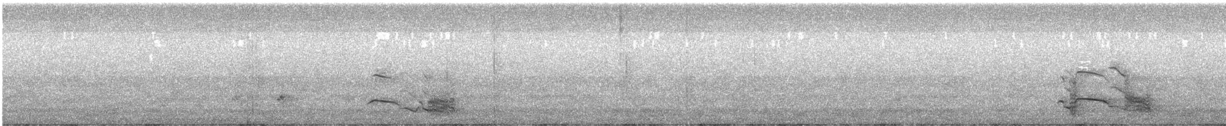 kakadu černý - ML646033597