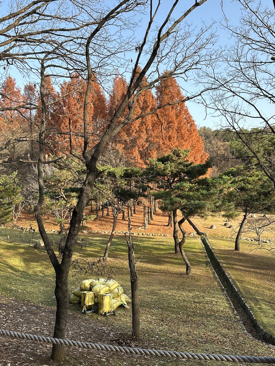 Animals - ML646033814