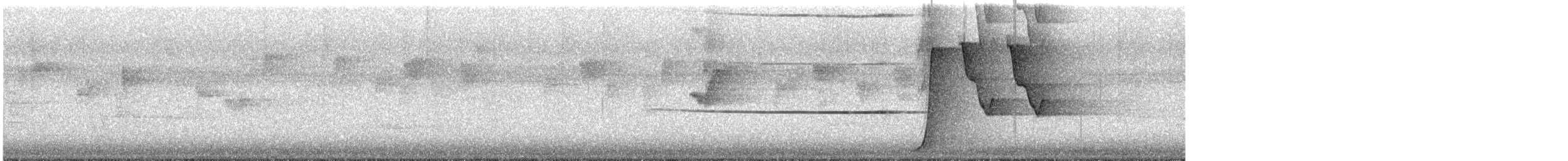 Eastern Whipbird - ML646034512